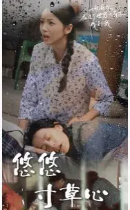 《新版：悠悠寸草心》：一曲感人至深的亲情赞歌，重新诠释孝道与爱的深沉力量