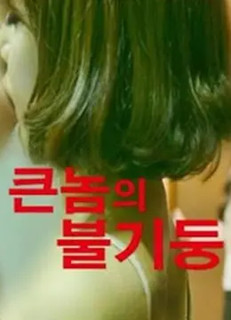 《大斗牛》：当科幻遇上温情，一场关于生命、爱与勇气的浪漫冒险