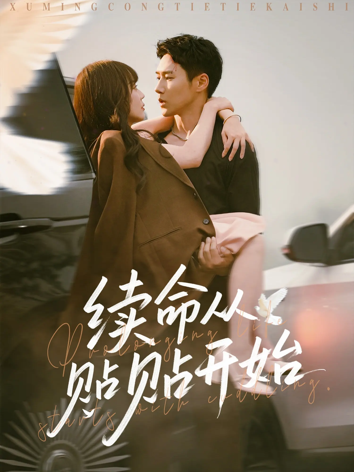 《续命从贴贴开始》：当“贴贴”成为生存法则，一场关于爱与守护的《乡村》温情故事，能否抵挡住命运的捉弄？
