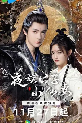 《夜族公子小仙妻》：当暗夜贵族遇上天真烂漫，一场跨越种族的甜蜜“驯妻”记